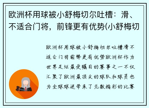 欧洲杯用球被小舒梅切尔吐槽：滑、不适合门将，前锋更有优势(小舒梅切尔转会)